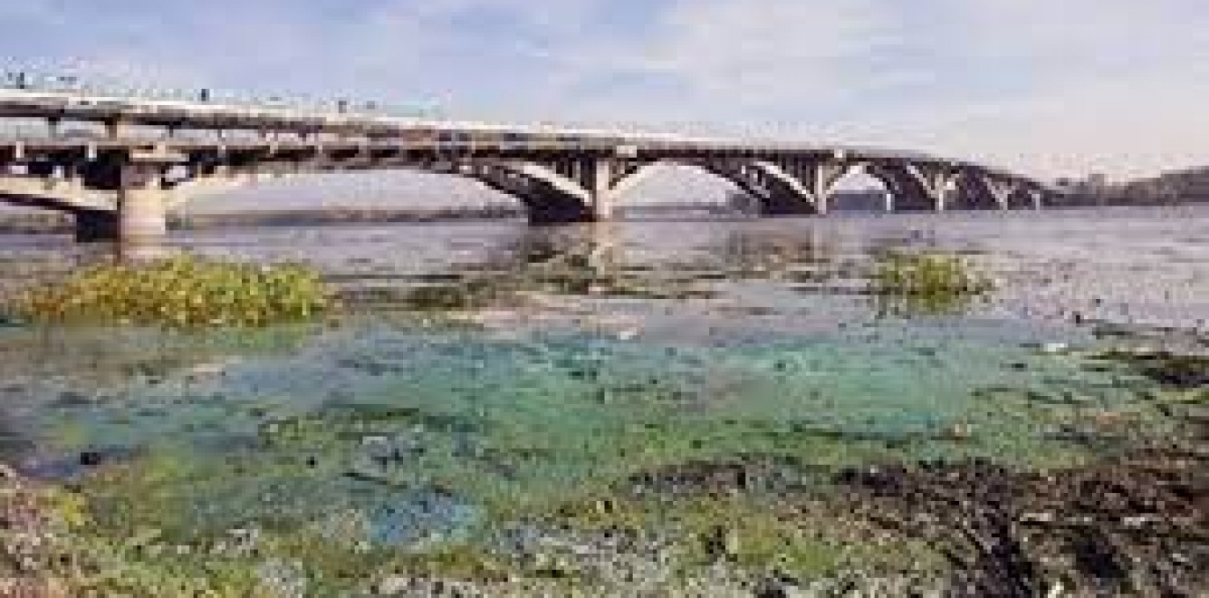 Стан басейну річки Дніпро критичний: результати моніторингу