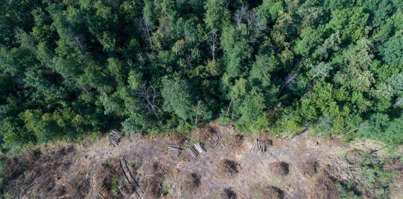 В Україні хочуть фіксувати екологічні порушення за допомогою аерокосмічної зйомки