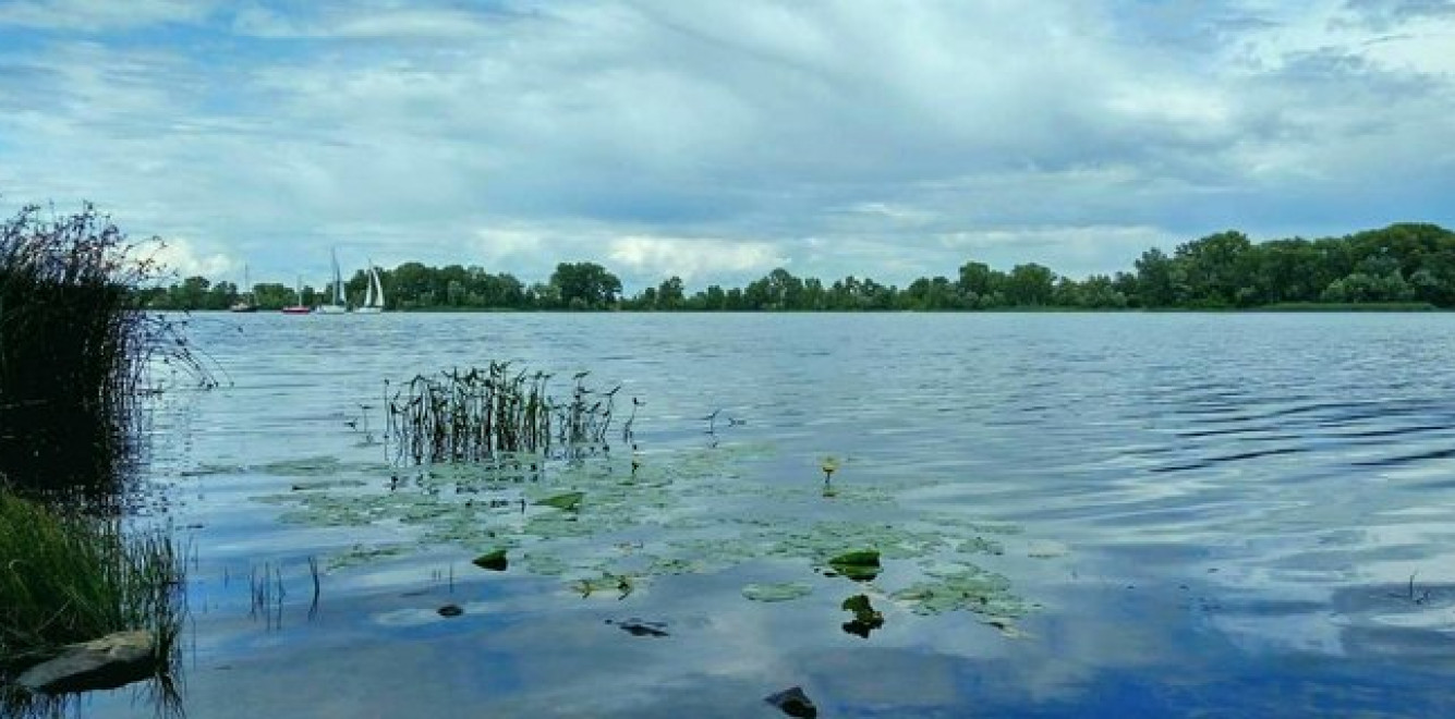 Екологи назвали катастрофічним стан Дніпра. У воді знайшли 161 забруднювач