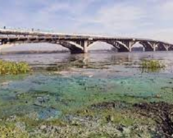 Состояние бассейна реки Днепр критический: результаты мониторинга