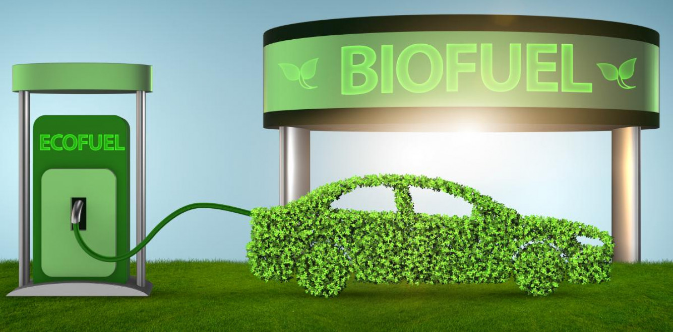 Езда "под градусом". Почему биотопливо, не лучшая идея для Украины