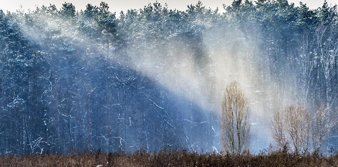 Эксперт предупредил об экологической катастрофе на Украине