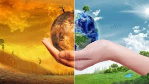 Экологические тренды 2020 года. Какие прогнозы дают эксперты на будущее