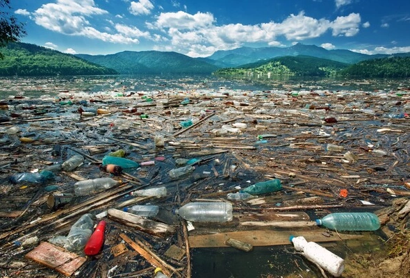 На Київщині звалища забруднили 900 гектарів земель