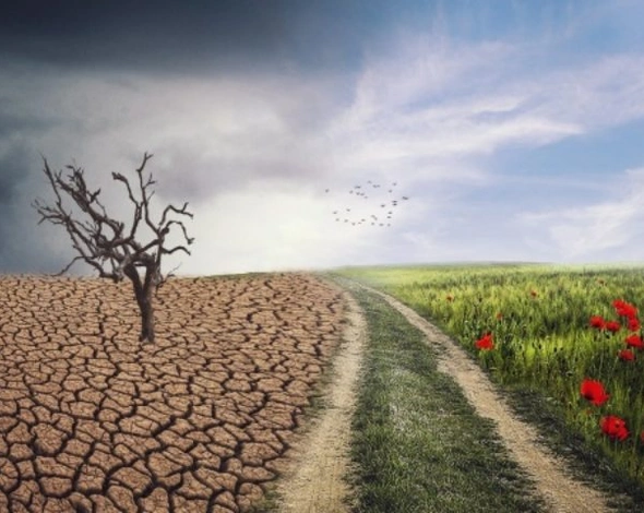 Більше, ніж слова: чому бізнесу важливо думати про екологію