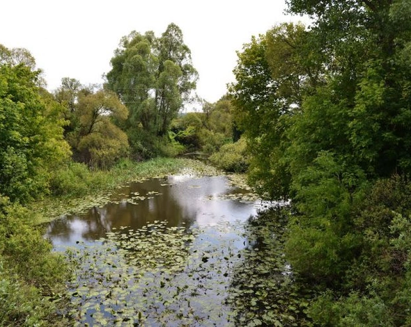  За останні 25 років зникло близько сотні українських річок