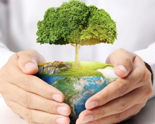 Велике прибирання берегів: підсумки у цифрах