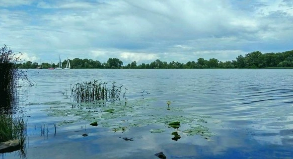 Екологи назвали катастрофічним стан Дніпра. У воді знайшли 161 забруднювач