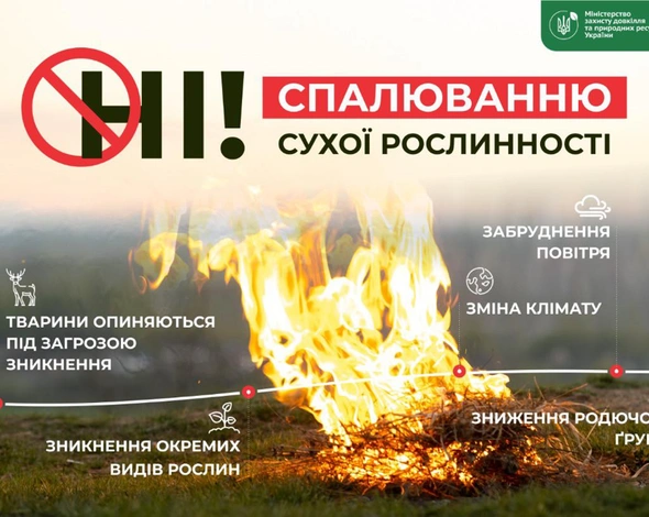 НI! спалюванню сухої рослинності