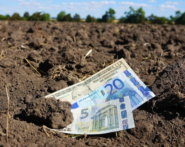 У Держекоінспекції попередили про ризики для екології з відкриттям ринку землі