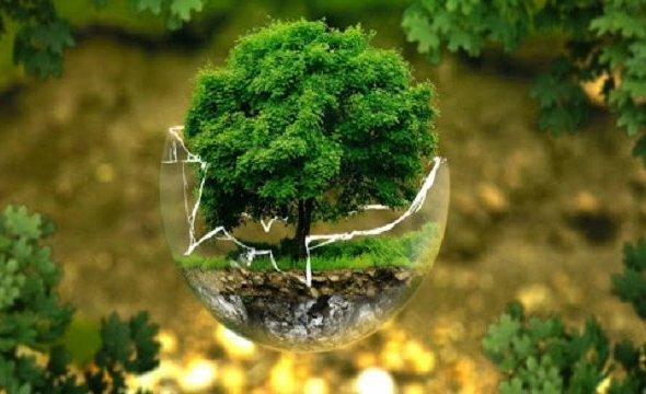 Last year, Ukraine's environment Suffered damages exceeding UAH 2 Billion - State Environmental Inspectorate