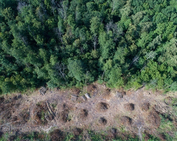 В Україні хочуть фіксувати екологічні порушення за допомогою аерокосмічної зйомки
