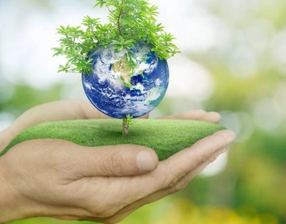 Уряд схвалив на своєму засіданні 21 нормативно-правовий акт у сфері охорони навколишнього природного середовища