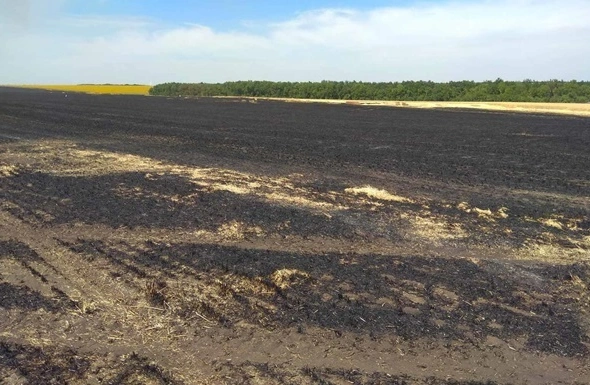 На Черкащині завдали шкоди екології на 24 млн грн