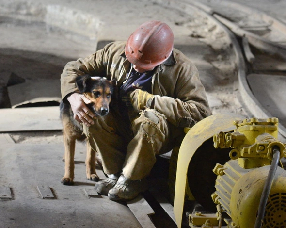 Екологічна війна: як Донбас перетворюється в новий Чорнобиль